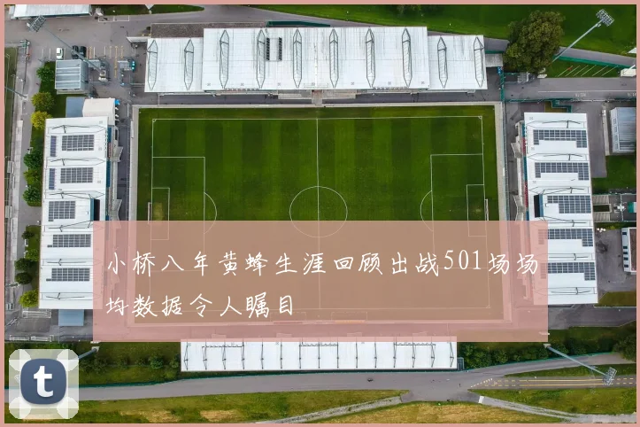 小桥八年黄蜂生涯回顾出战501场场均数据令人瞩目