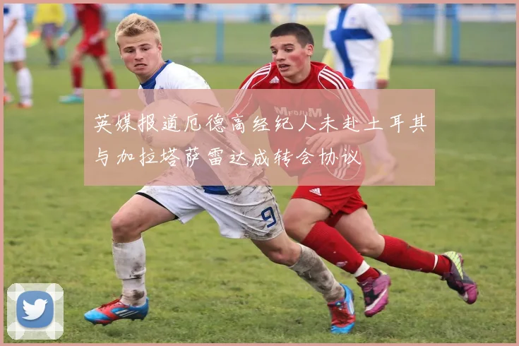 英媒报道厄德高经纪人未赴土耳其与加拉塔萨雷达成转会协议