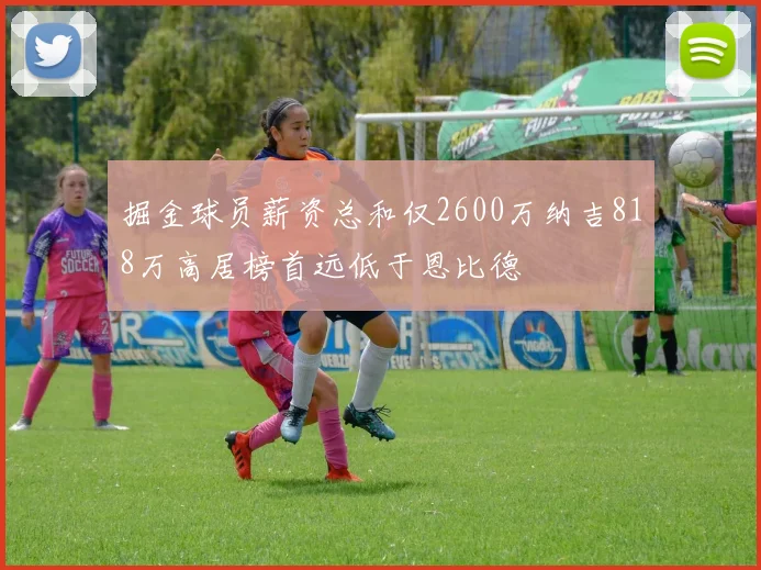 掘金球员薪资总和仅2600万纳吉818万高居榜首远低于恩比德